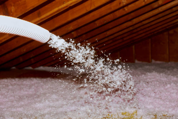 Best Home Insulation Services  in Bellerose Terrace, NY