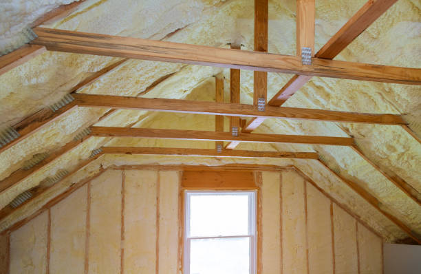 Best Insulation Replacement Services  in Bellerose Terrace, NY