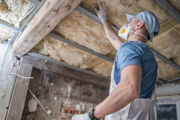 Best Insulation Contractor Near Me  in Bellerose Terrace, NY
