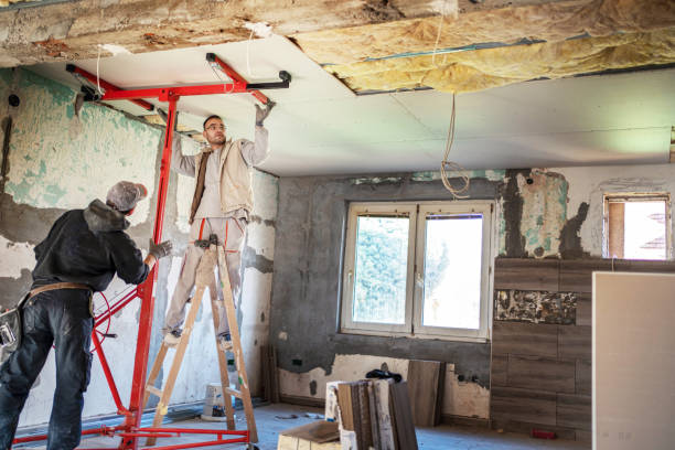 Best Spray Foam Insulation  in Bellerose Terrace, NY