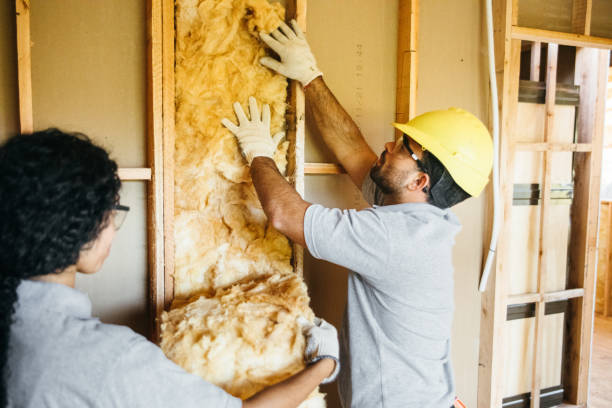 Best Fiberglass Insulation  in Bellerose Terrace, NY