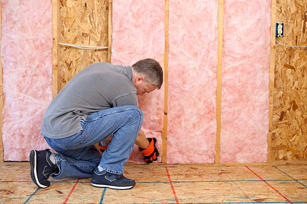 Best Commercial Insulation Contractor  in Bellerose Terrace, NY