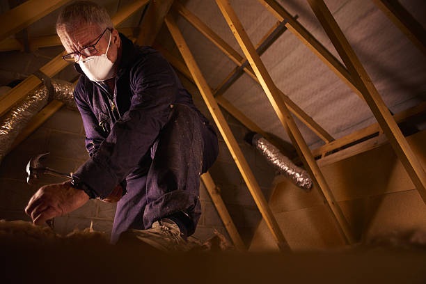Best Garage Insulation Installation  in Bellerose Terrace, NY